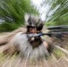 ARTP 25.1 | LCT Rehearses a Platoon Attack