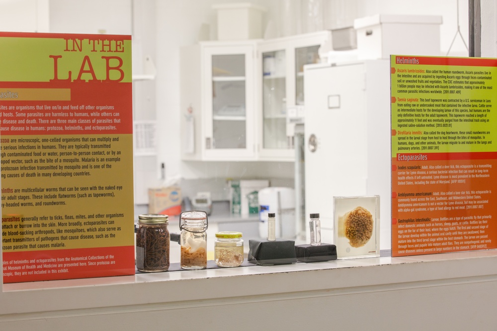 In The Lab: Parasites