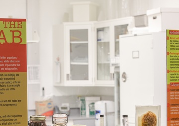 In The Lab: Parasites