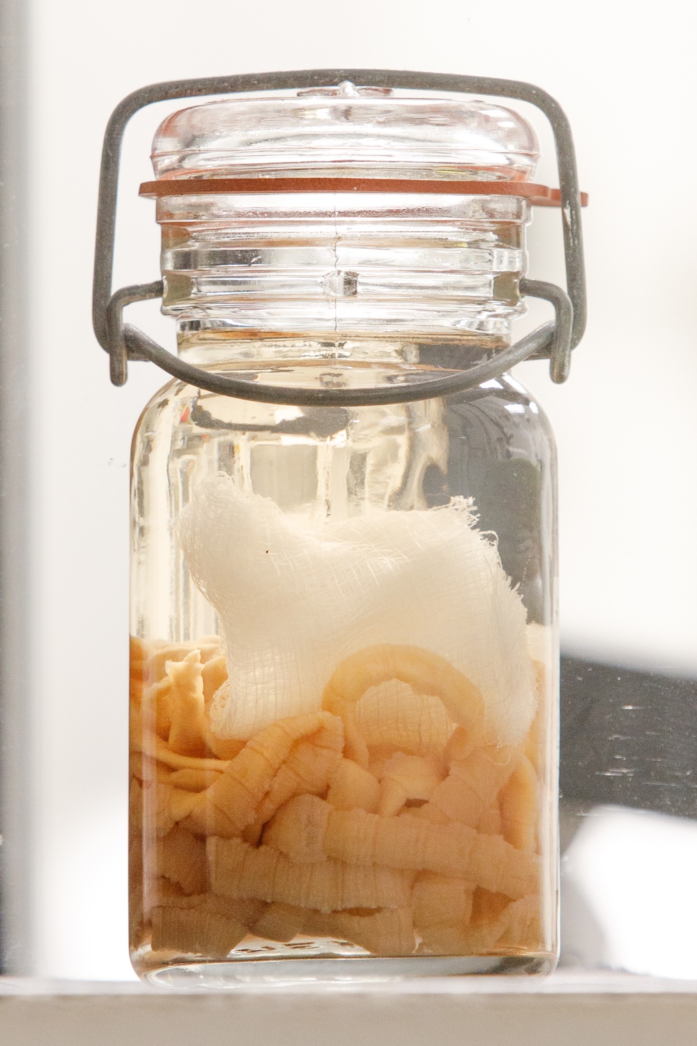 In The Lab: Parasites