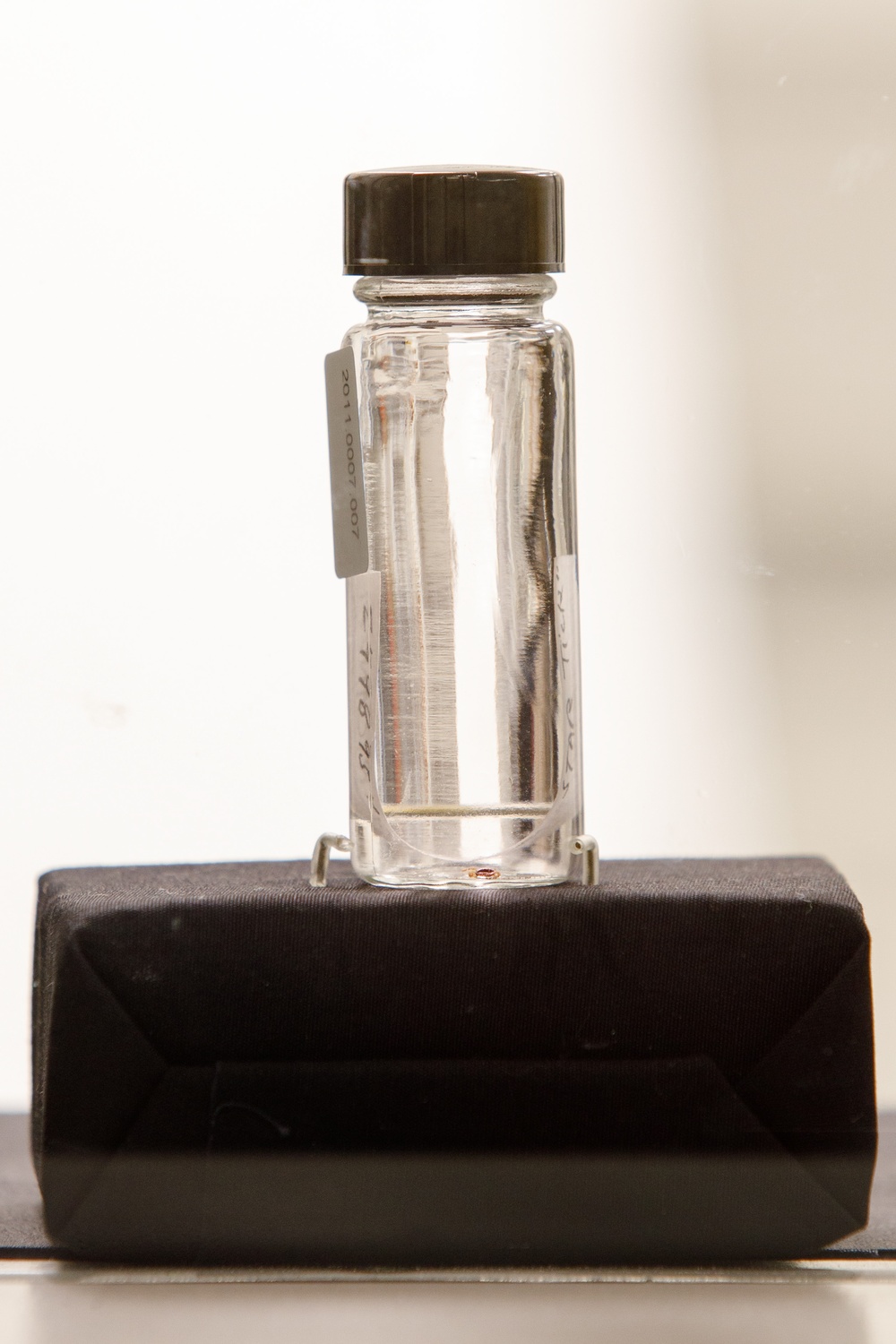 In The Lab: Parasites