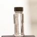 In The Lab: Parasites