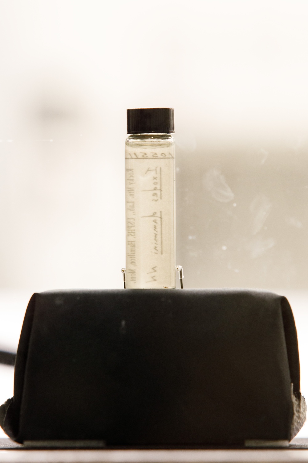 In The Lab: Parasites