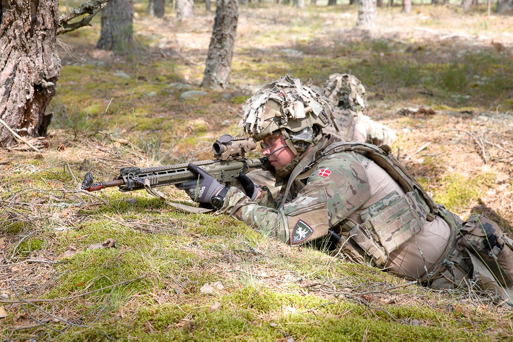 Michigan Army National Guard and Danish Armed Forces enhance squad tactics in Latvia