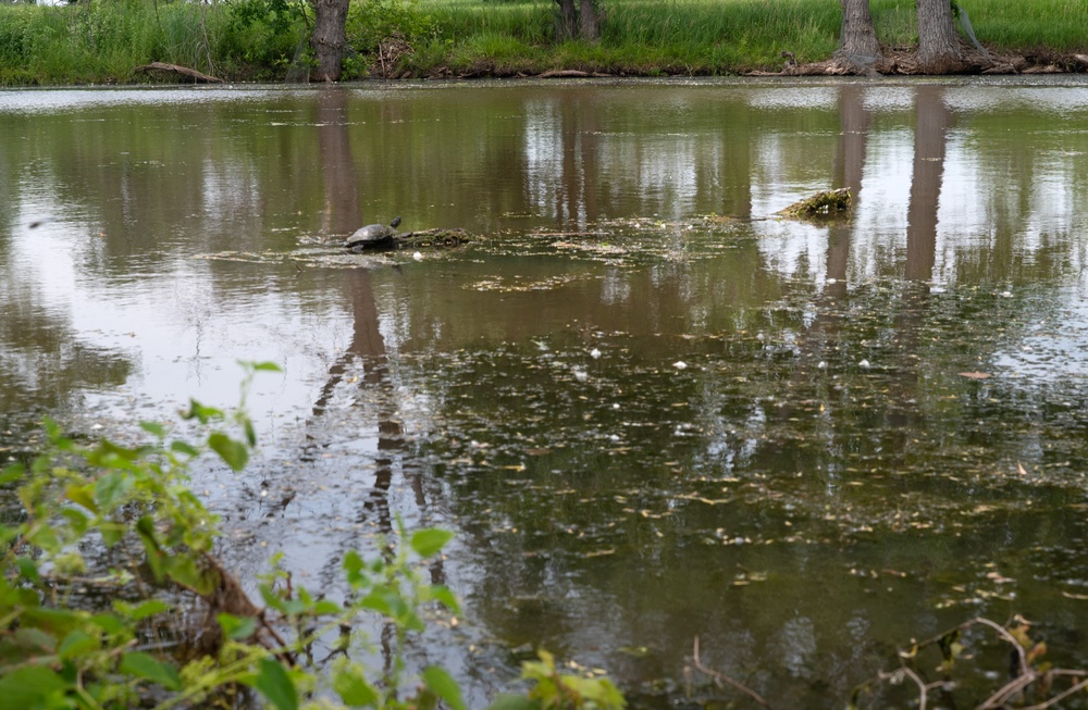 22 CES revitalizes McConnell creek and protects infrastructure with revetment project