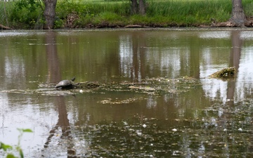 22 CES revitalizes McConnell creek and protects infrastructure with revetment project