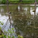 22 CES revitalizes McConnell creek and protects infrastructure with revetment project