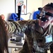 New York Air National Guard Airmen Train Overseas in Italy