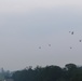 Army 250th Birthday Parade