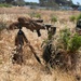 U.S. Marines, Indonesian Korps Marinir participate in stalking drills