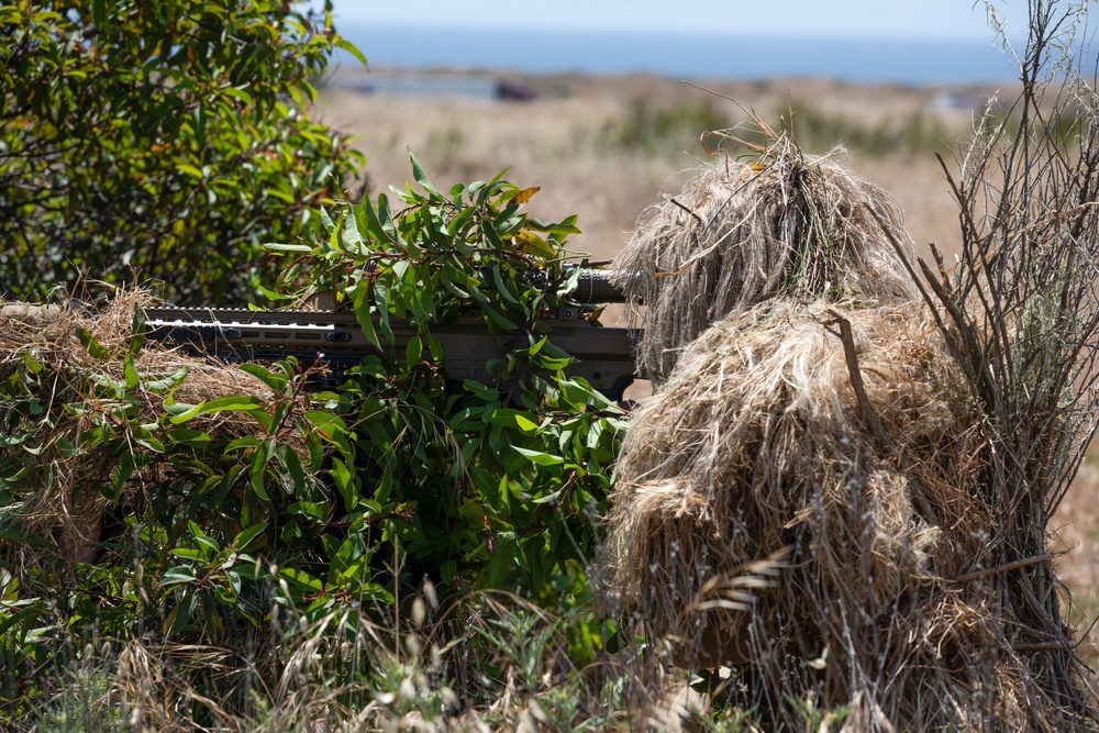U.S. Marines, Indonesian Korps Marinir participate in stalking drills