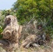 U.S. Marines, Indonesian Korps Marinir participate in stalking drills