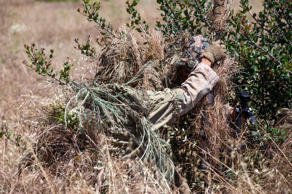 U.S. Marines, Indonesian Korps Marinir participate in stalking drills
