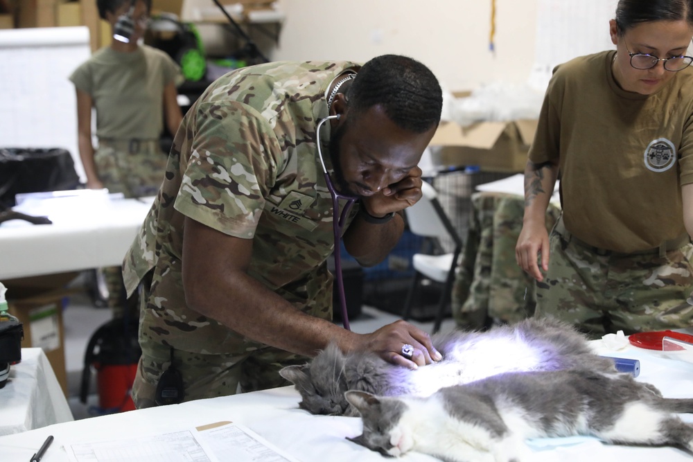 Army Reserve Unit conducts inaugural Innovative Readiness Training for the MOWA Choctaw Community