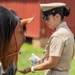 USS John C. Stennis (CVN 74) CMC attends Toys for Tots event