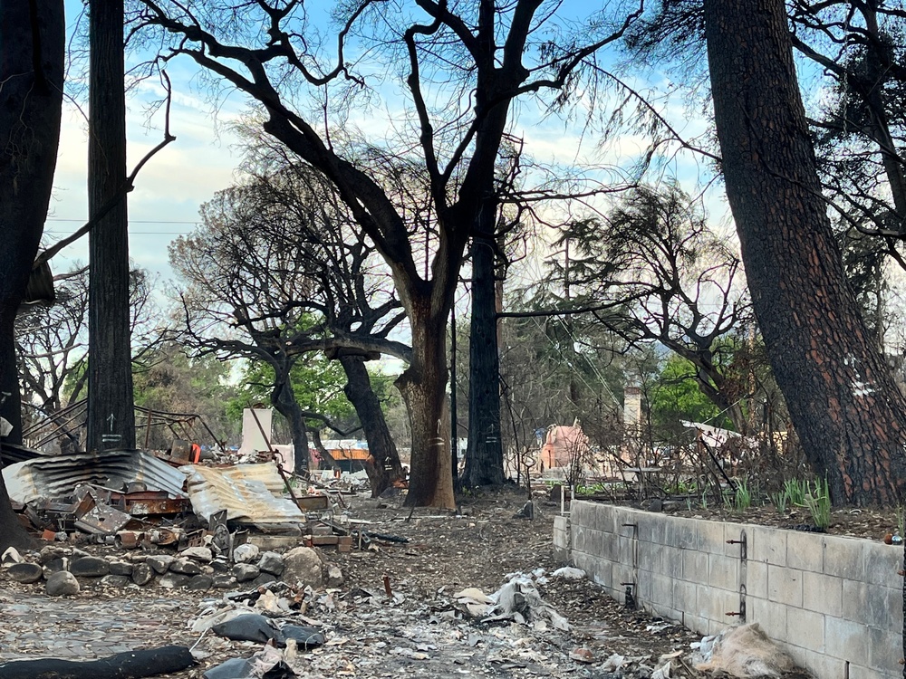 Helping hands: ERDC employees volunteer for LA wildfire recovery
