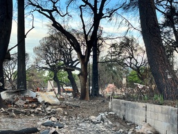 Helping hands: ERDC employees volunteer for LA wildfire recovery
