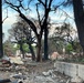 Helping hands: ERDC employees volunteer for LA wildfire recovery