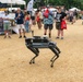 250th Army Birthday Festival