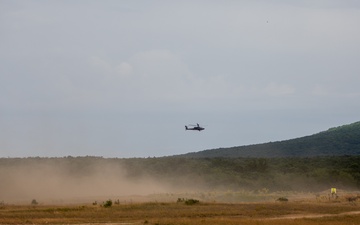 2CR Soldiers join Spanish and Hungarian Defense Forces for a multinational live-fire demonstration during Saber Guardian 25