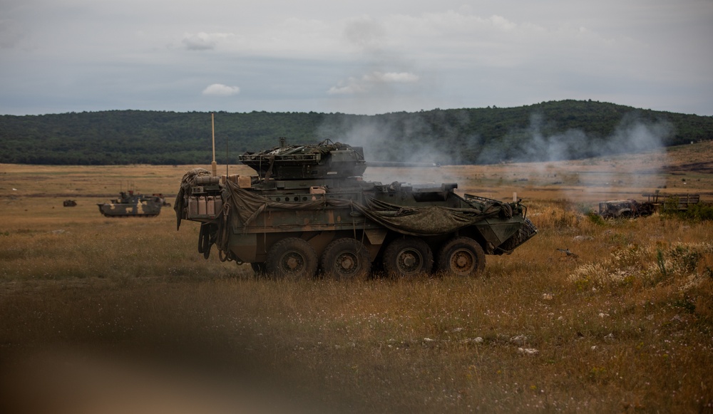 2CR Soldiers join Spanish and Hungarian Defense Forces for a multinational live-fire demonstration during Saber Guardian 25