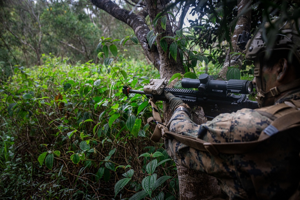 Last Stand: SOI-W Detachment Hawaii AIMC class 3-25 conducts an ambush at KTA