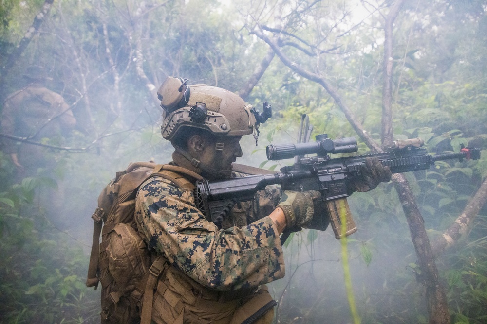Last Stand: SOI-W Detachment Hawaii AIMC class 3-25 conducts an ambush at KTA