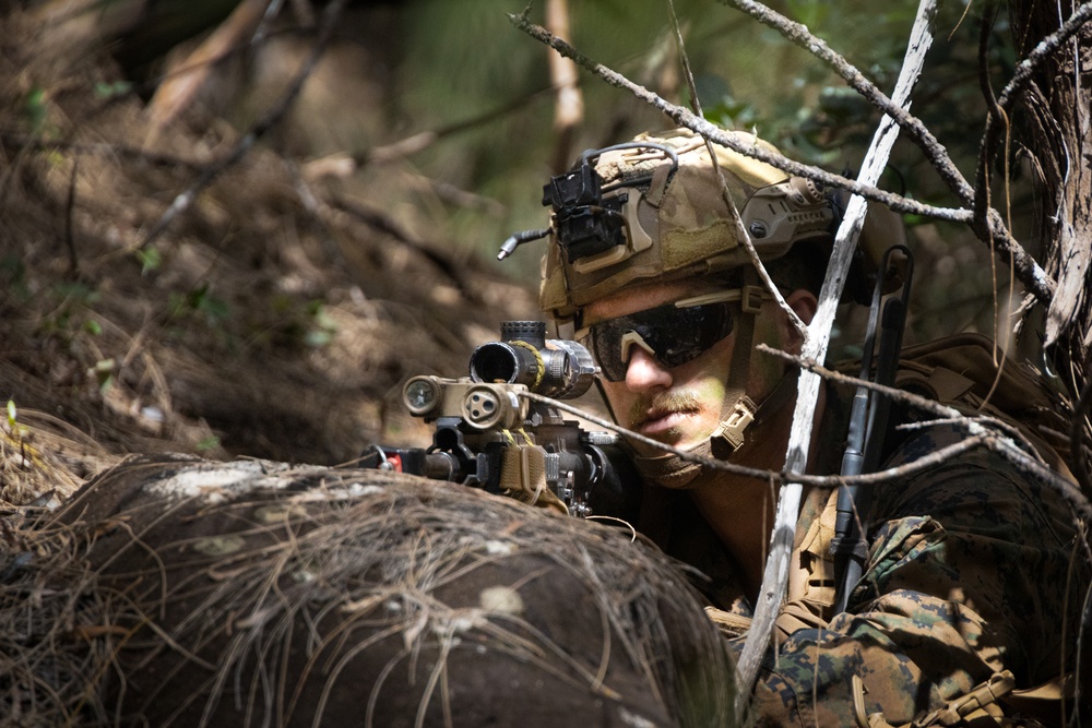 On Three: SOI-W Detachment Hawaii AIMC class 3-25 conducts an ambush at KTA