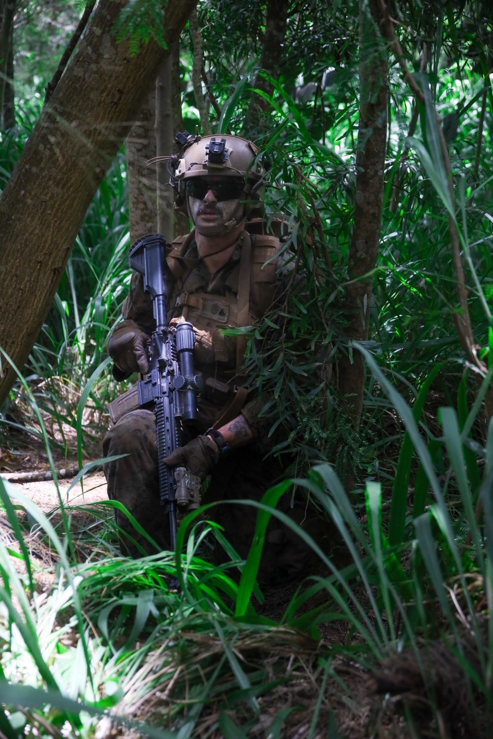 On Three: SOI-W Detachment Hawaii AIMC class 3-25 conducts an ambush at KTA
