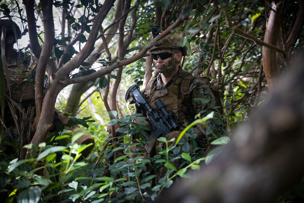On Three: SOI-W Detachment Hawaii AIMC class 3-25 conducts an ambush at KTA