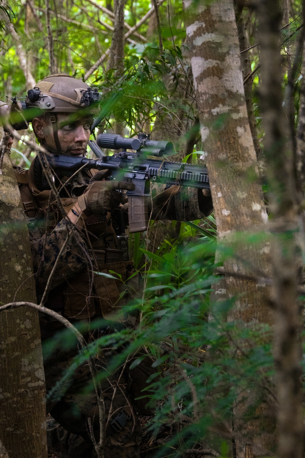 On Three: SOI-W Detachment Hawaii AIMC class 3-25 conducts an ambush at KTA