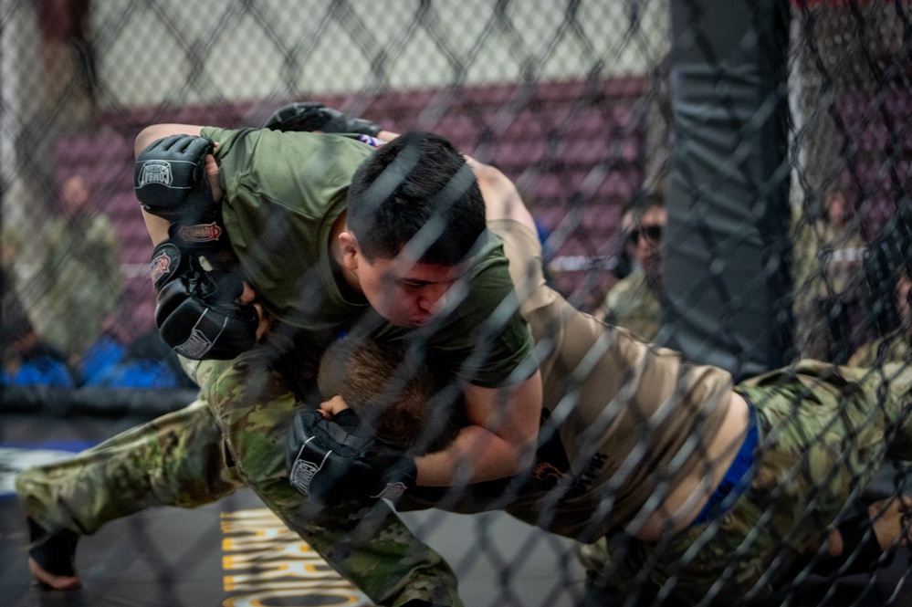 Ground and Pound! 11th Airborne hosts a combative competition during Arctic Angel Rendezvous Week