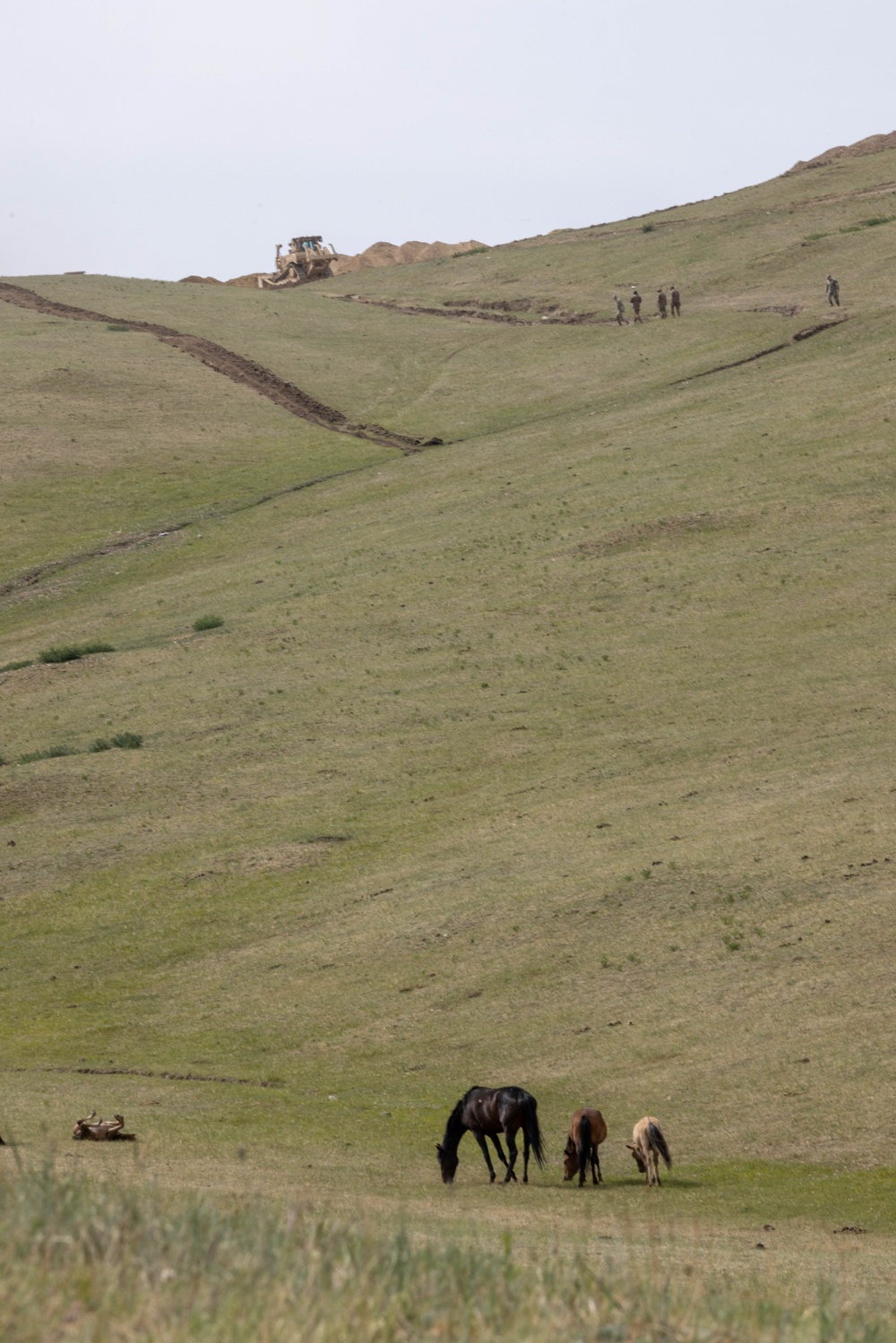 [Kaahn Quest 2025] US Army Soldiers along side Mongolian Armed Forces conduct road survey