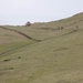 [Kaahn Quest 2025] US Army Soldiers along side Mongolian Armed Forces conduct road survey