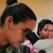 Pacific Partnership 2025 Conducts Mission Stop in Suva, Fiji, June 13, 2025