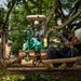 Sakura trees undergo refresh through 374 CES