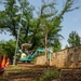 Sakura trees undergo refresh through 374 CES