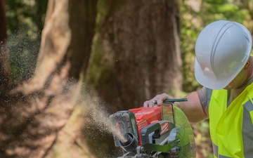 Idaho Airmen Help Restore Redwood Parks