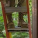 Idaho Airmen Help Restore Redwood Parks