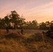 MRF-D 25.3: 2nd Bn., 1st Marines, 1 CER, RAR participate in final event during Predator’s Run