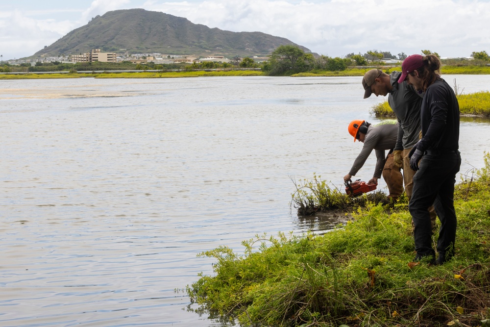 MCBH and Ola Nu’upia Hui conduct Environmental Stewardship Workday
