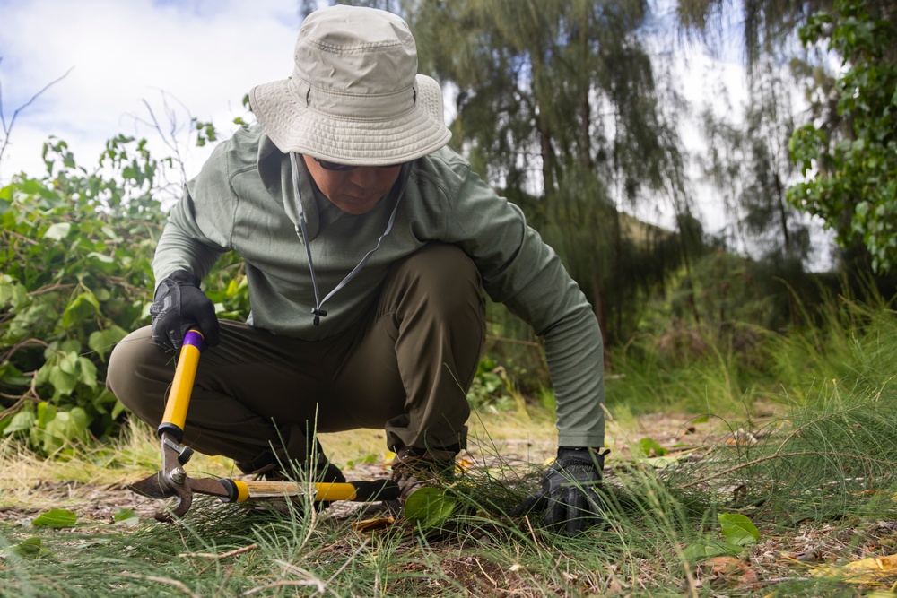 MCBH and Ola Nu’upia Hui conduct Environmental Stewardship Workday