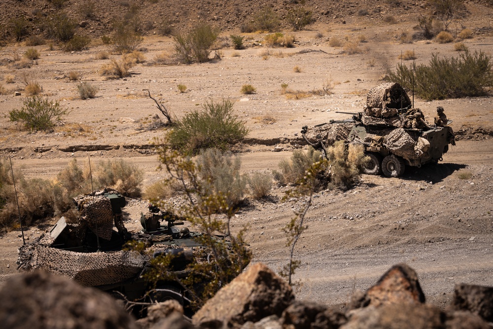 ITX 3-25: Marines with 1st Battalion, 23rd Marine Regiment Conduct a Training Exercise