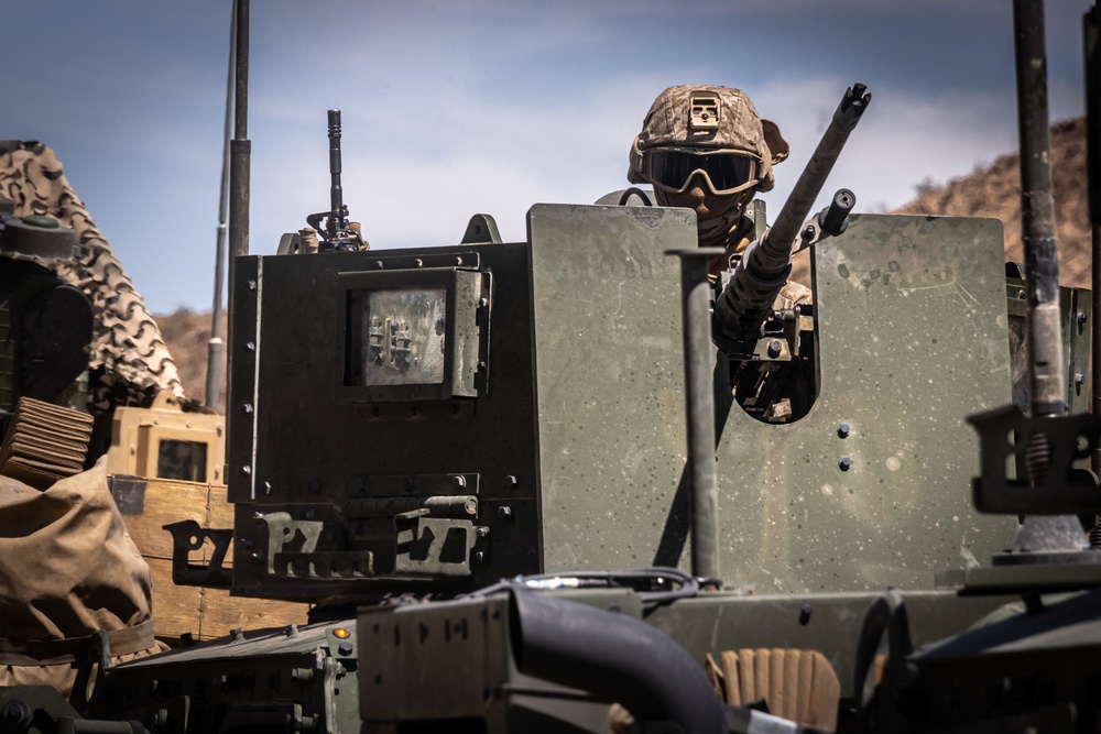 ITX 3-25: Marines with 1st Battalion, 23rd Marine Regiment Conduct a Training Exercise