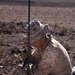4th Marine Division Commanding General Visits Marines at ITX 3-25
