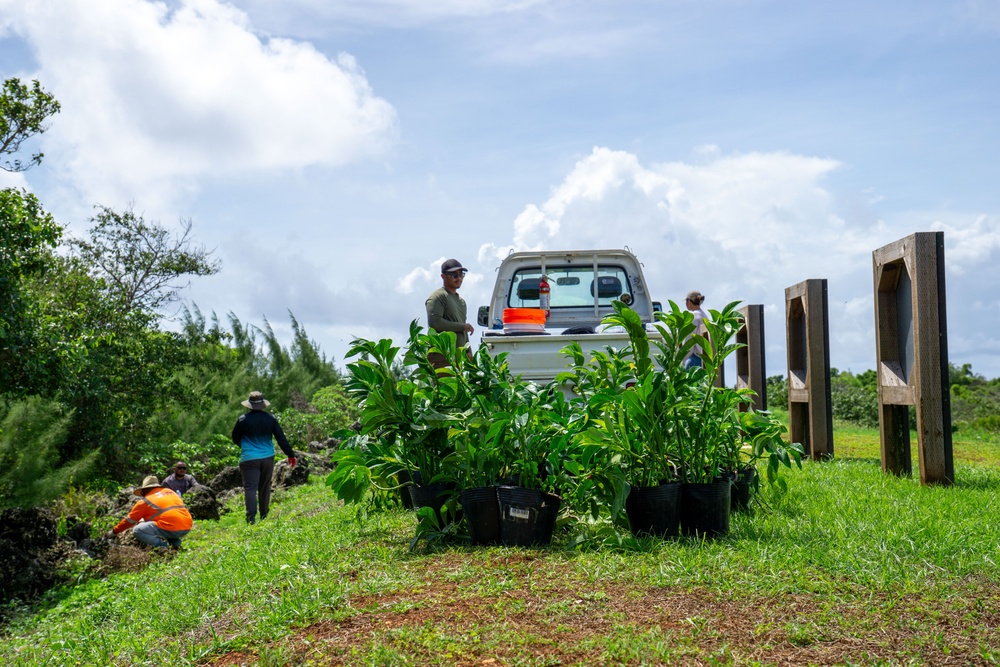 Butterfly host plant outplanting on Camp Blaz ranges