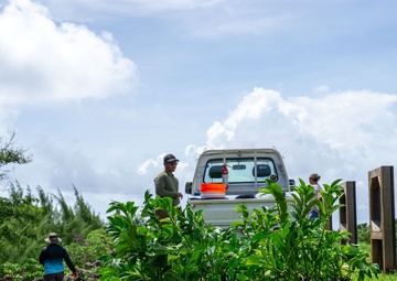 Butterfly host plant outplanting on Camp Blaz ranges