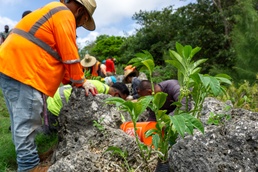 Butterfly host plant outplanting on Camp Blaz ranges