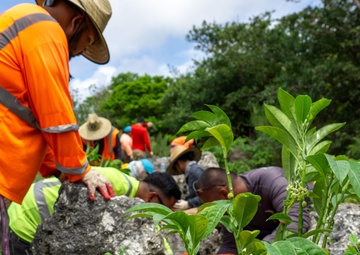 Mariana eight-spot butterfly host plants at the range