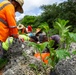 Butterfly host plant outplanting on Camp Blaz ranges